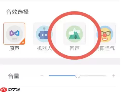 讯飞语记怎么改声音