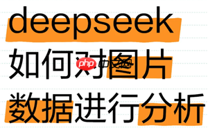 deepseek怎么识别图片进行分析 deepseek识别图片进行分析流程