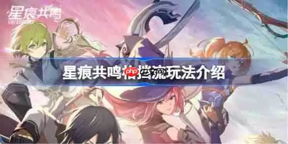 星痕共鸣格挡流该怎么玩-星痕共鸣格挡流玩法介绍