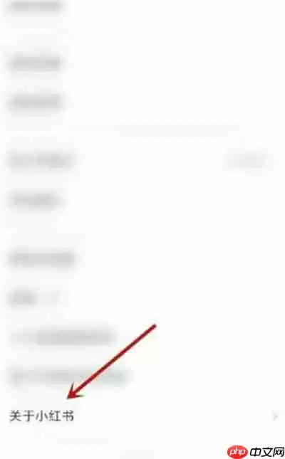 小红书网络诊断功能在哪里