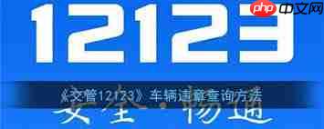 交管12123如何快速查违章