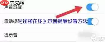 途强在线如何设置声音提醒