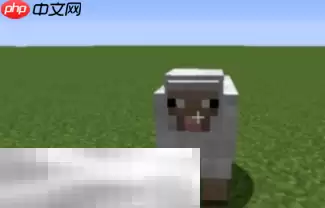 我的世界彩虹羊怎么弄 用命名牌生成彩虹羊方法介绍