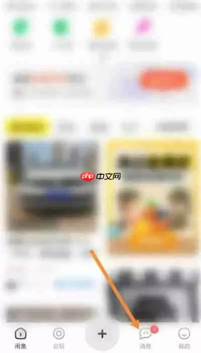 闲鱼怎么开启一键免打扰功能