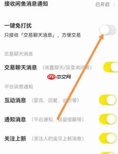 闲鱼怎么开启一键免打扰功能