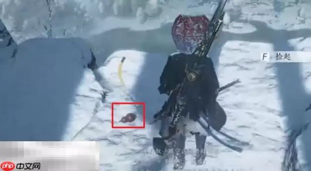 燕云十六声雪影迷踪怎么做 雪影迷踪万事知攻略