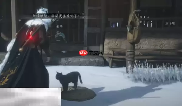 燕云十六声饮马隘猫戏在哪 凉州猫戏全收集攻略