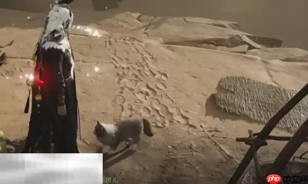 燕云十六声饮马隘猫戏在哪 凉州猫戏全收集攻略