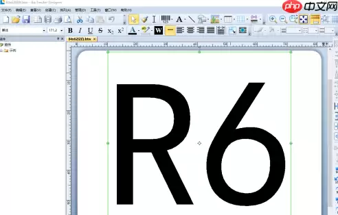 BarTender如何让标签序列化打印？BarTender让标签序列化打印的方法