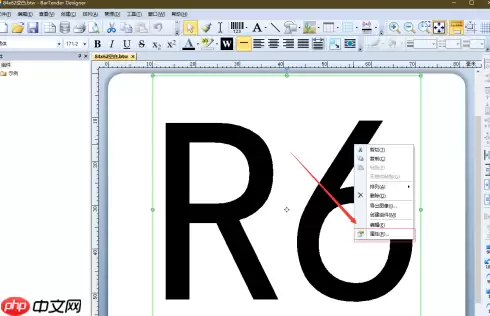 BarTender如何让标签序列化打印？BarTender让标签序列化打印的方法