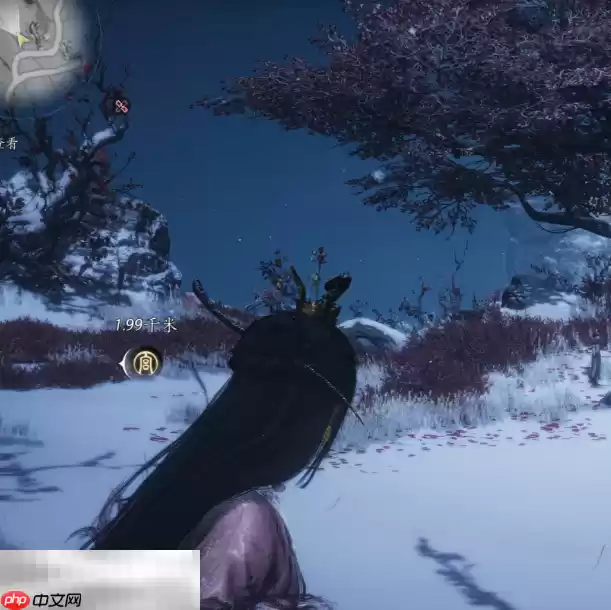 燕云十六声怎么打雪仗 打雪仗位置分享