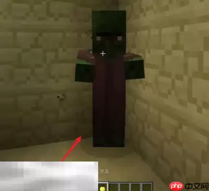 我的世界僵尸村民怎么治疗 僵尸恢复成村民方法介绍