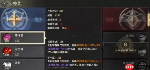 奇迹世界起源弓终极配装指南：装备技能全解析