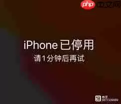 苹果手机已停用能否刷机