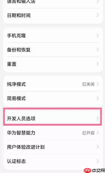 鸿蒙系统怎么查看运行内存