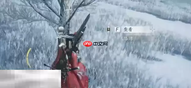 燕云十六声大侠与大侠怎么做 大侠与大侠奇遇攻略