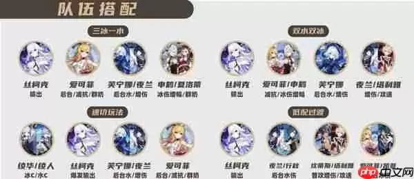 原神丝柯克圣阵容推荐