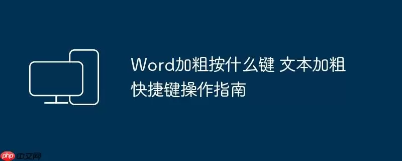 Word加粗按什么键 文本加粗快捷键操作指南