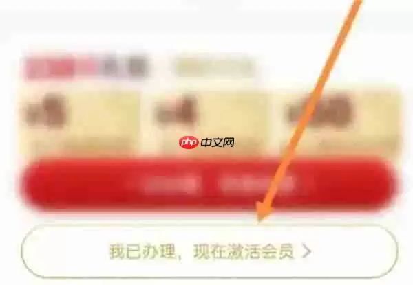 全球购骑士特权怎么激活