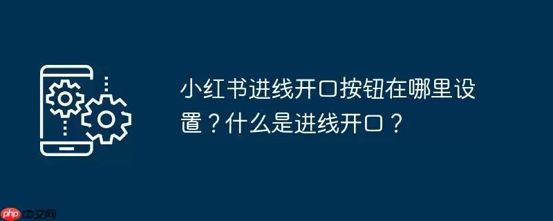 小红书进线开口按钮在哪里设置？什么是进线开口？