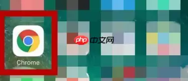 Chrome浏览器里稍后阅读功能怎么使用？稍后阅读功能使用方法介绍