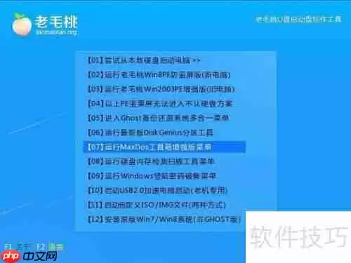 晨枫磁盘检测工具chkdsk使用教程
