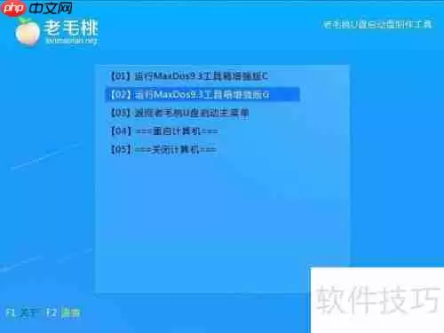 晨枫磁盘检测工具chkdsk使用教程