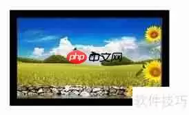 视频会议系统由哪些部分组成？