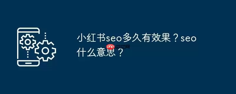 小红书seo多久有效果?seo什么意思?