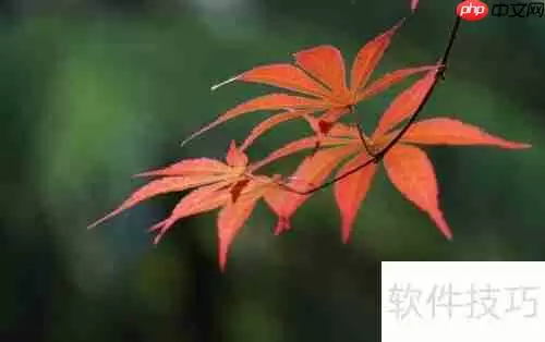 红枫摘叶管理技巧