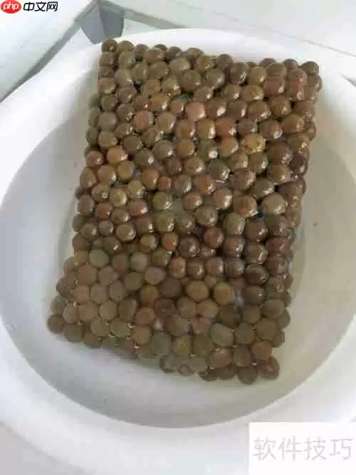 健脾豪华版奶茶：温暖脾胃的秋冬饮品选择