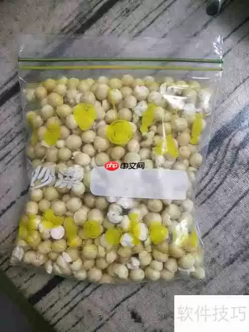 健脾豪华版奶茶：温暖脾胃的秋冬饮品选择