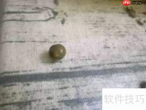 健脾豪华版奶茶：温暖脾胃的秋冬饮品选择