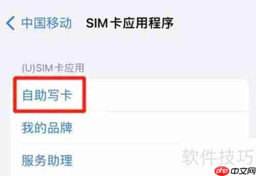 iPhone自助写SIM卡教程：快速上手指南