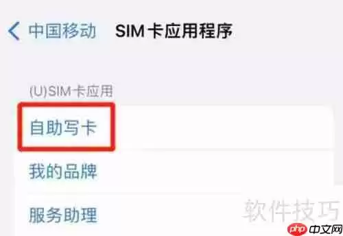 iPhone自助写SIM卡教程：快速上手指南