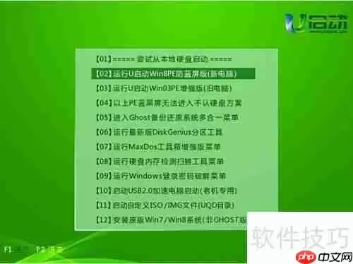 U盘启动进行磁盘低级格式化教程