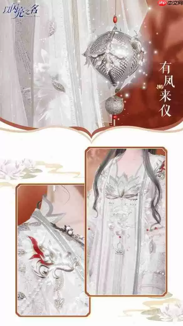 以闪亮之名有凤来仪套装介绍-有凤来仪细节展示