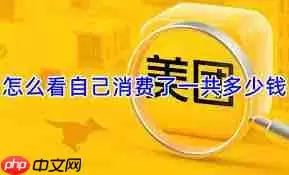 美团外卖怎么查看消费总额