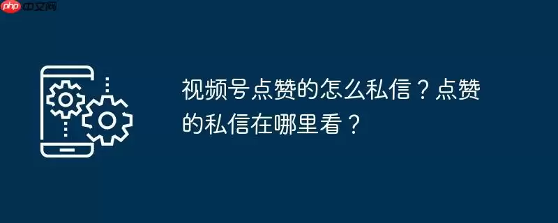 视频号点赞的怎么私信？点赞的私信在哪里看？