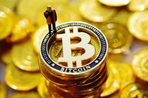 ISLM是什么币种 伊斯兰币(ISLM)未来前景如何-第1张图片