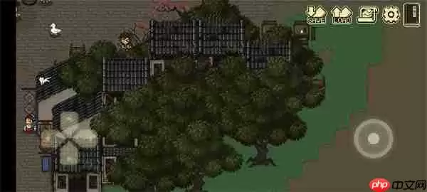 大江湖之苍龙与白鸟无名剑神位置一览