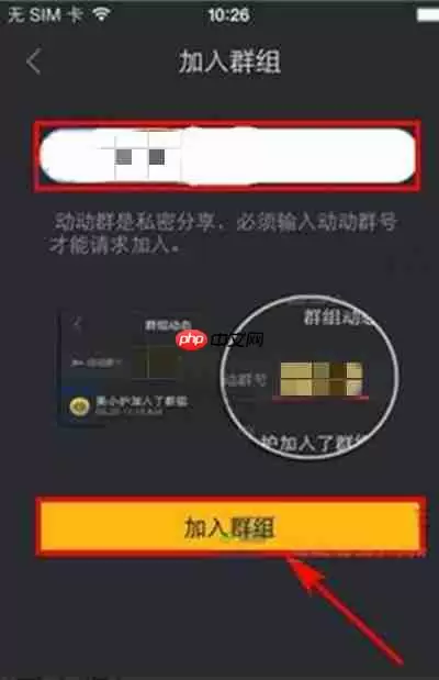 动动怎么加入群组