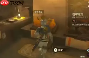 塞尔达传说王国之泪铠甲南瓜在哪-铠甲南瓜位置一览