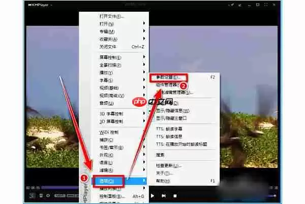 kmplayer plus怎么导入字幕？kmplayer plus导入字幕的操作步骤