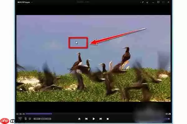 kmplayer plus怎么导入字幕？kmplayer plus导入字幕的操作步骤