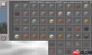 我的世界鞘翅怎么用 鞘翅飞行方法教程