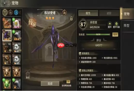 奇迹世界起源集市位置在哪里-奇迹世界起源集市位置一览