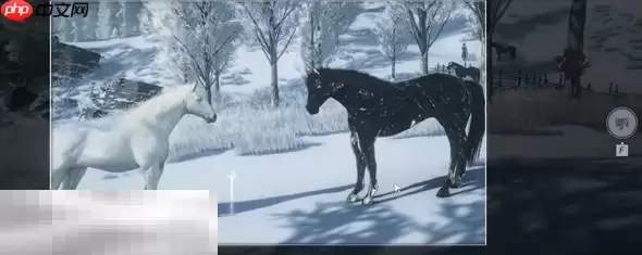 燕云十六声寻二马记怎么做 寻二马记万事知攻略