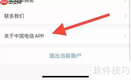 中国电信APP：查看与使用指南