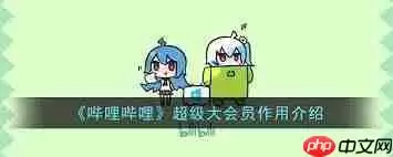 哔哩哔哩超级大会员有啥作用